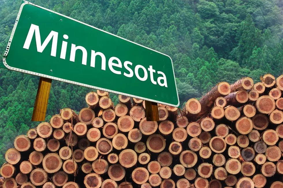 The Four Biggest Landowners in All of Minnesota