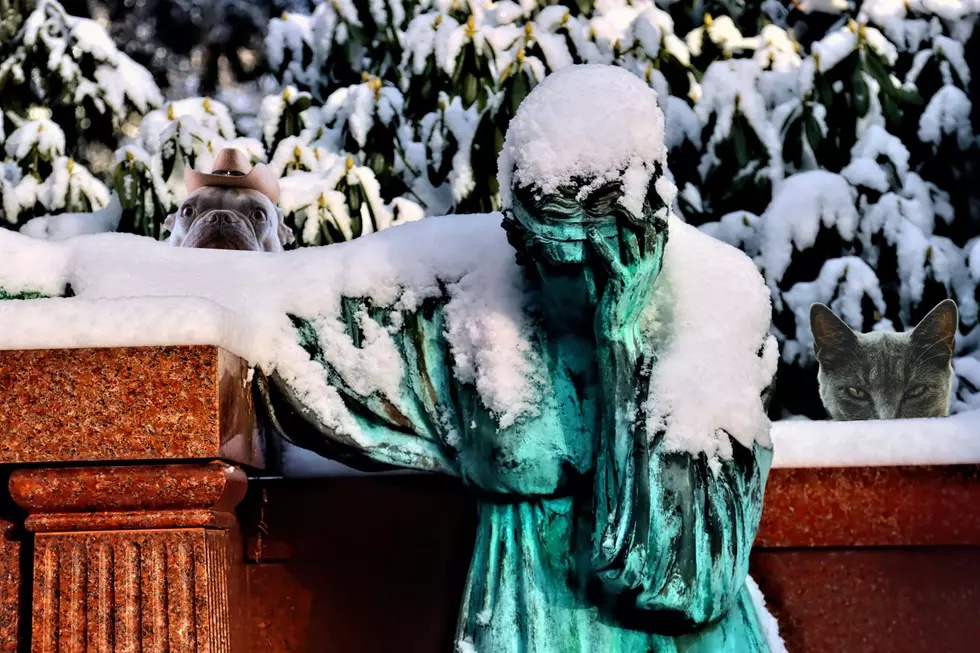 A Few Tips to Help You Beat Your Minnesota Winter Blues