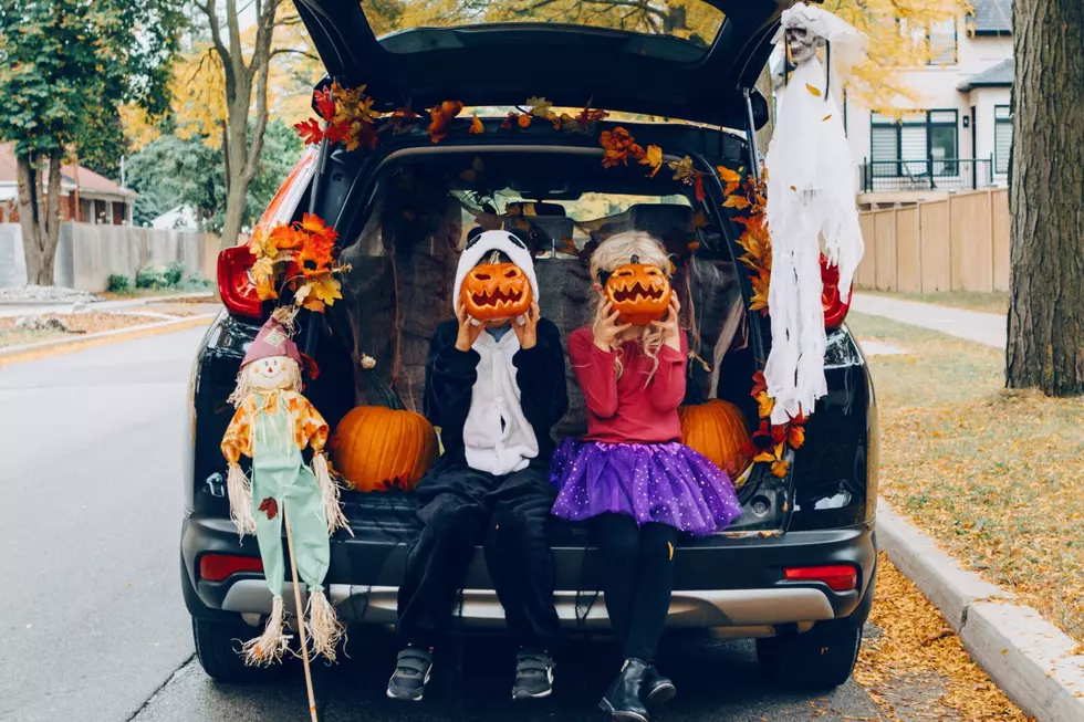 20+ Amazing Trunk-or-Treat Events In and Around Rochester, MN