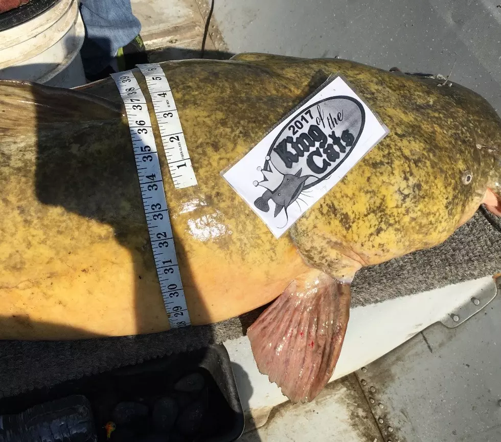 Credit: Minnesota DNR